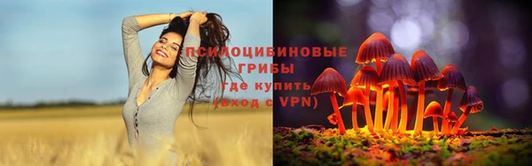 прущий лед Алексин