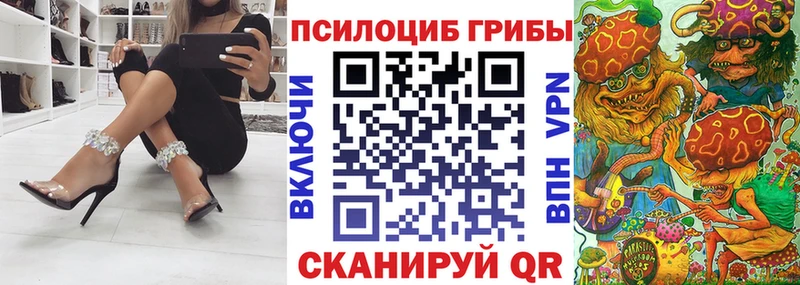 Галлюциногенные грибы Magic Shrooms  закладки  Шадринск 