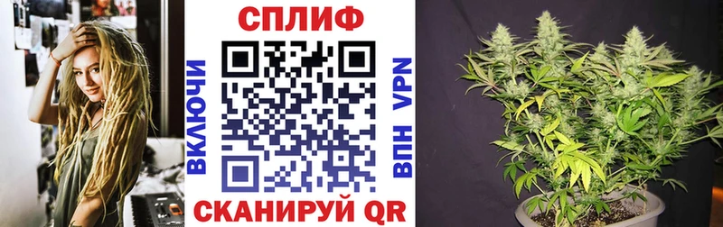 МАРИХУАНА ГИДРОПОН  Шадринск 